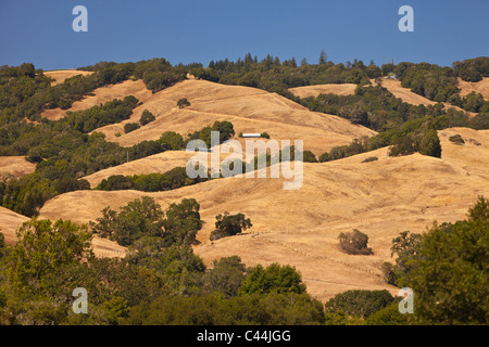 BOONVILLE, Kalifornien, USA - Anderson Tallandschaft in Mendocino County. Stockfoto