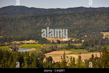 MENDOCINO COUNTY, Kalifornien, USA - Landschaft in Anderson Valley. Stockfoto