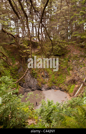 MENDOCINO COUNTY, Kalifornien, USA - Doline in der Nähe der Küste. Stockfoto