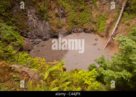 MENDOCINO COUNTY, Kalifornien, USA - Doline in der Nähe der Küste. Stockfoto