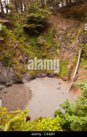 MENDOCINO COUNTY, Kalifornien, USA - Doline in der Nähe der Küste. Stockfoto