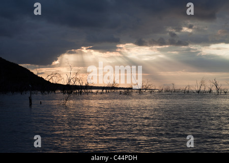 Sonnenaufgang am Saltlake Lago Enriquillo, Independencia Provinz, Dominikanische Republik Stockfoto