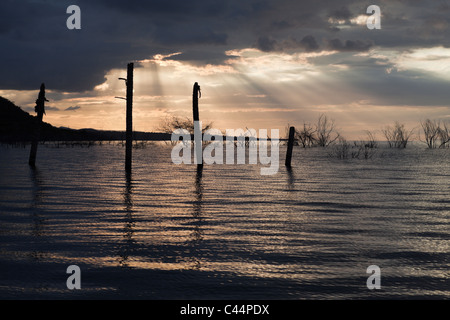 Sonnenaufgang am Saltlake Lago Enriquillo, Independencia Provinz, Dominikanische Republik Stockfoto