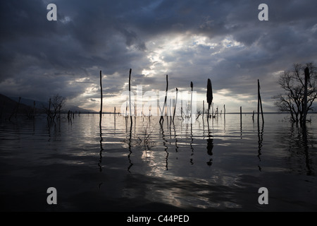 Morgendämmerung am Saltlake Lago Enriquillo, Independencia Provinz, Dominikanische Republik Stockfoto