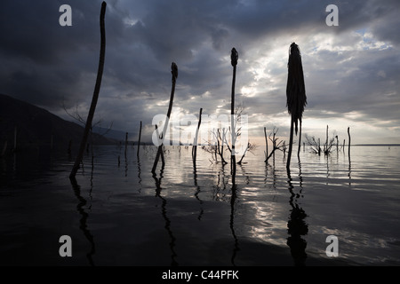 Morgendämmerung am Saltlake Lago Enriquillo, Independencia Provinz, Dominikanische Republik Stockfoto