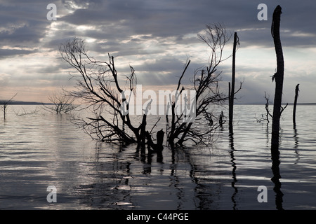 Impressionen vom Saltlake Lago Enriquillo, Independencia Provinz, Dominikanische Republik Stockfoto