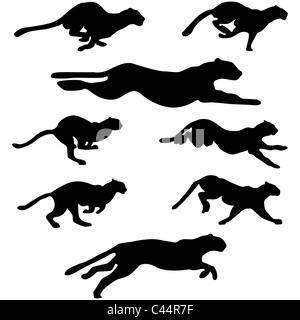 Satz von verschiedenen Wildkatzen laufen Silhouetten Design einsetzbar Stockfoto