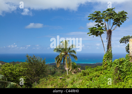 Landschaft in der Nähe von Las Terrenas, Halbinsel Samaná, Dominikanische Republik Stockfoto