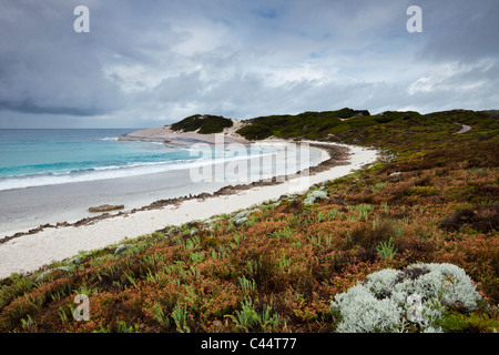 Blick Lachs Strand entlang. Esperance, Western Australia, Australien Stockfoto