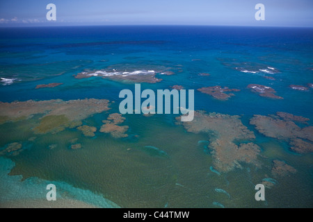 Korallenriff, Puerto Plata, Dominikanische Republik Stockfoto
