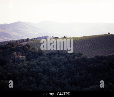 Toskanische Landschaft in der Nähe von Raddi in Chianti, Toskana, Italien Stockfoto