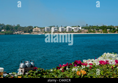 Ost-Afrika, Kenia, Mombasa, Küste, Küste, Creek, direkt am Meer, Hafen Stockfoto