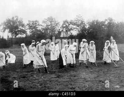 Gemüsegarten für den Kriegseinsatz, 1917 Stockfoto