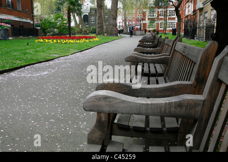 Bänke in der Mount Street Gardens (aka St. George Gardens), Mayfair, London, UK Stockfoto