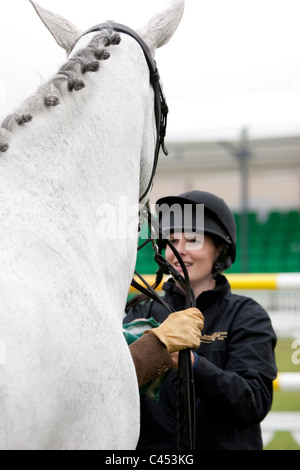 Hunter Doppel Kabelbaum huschen fahren und springen auf der großen Bühne des jeweiligen Surrey show 2011. Stockfoto