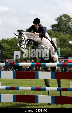 Hunter Doppel Kabelbaum huschen fahren und springen auf der großen Bühne des jeweiligen Surrey show 2011. Stockfoto