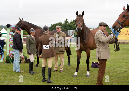 Hunter Doppel Kabelbaum huschen fahren und springen auf der großen Bühne des jeweiligen Surrey show 2011. Stockfoto