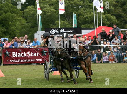 Hunter Doppel Kabelbaum huschen fahren und springen auf der großen Bühne des jeweiligen Surrey show 2011. Stockfoto