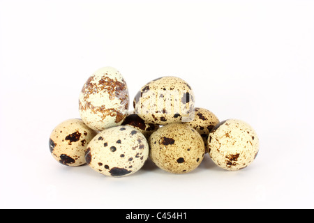 Eiern der japanischen Wachtel isoliert auf weiss Stockfoto