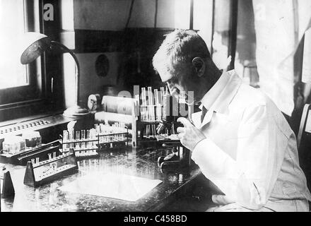 Der Chemiker und Physiker Karl Landsteiner in seinem Labor in New York Stockfoto