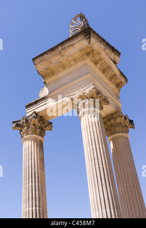 Spalten des korinthischen Tempels Zwilling im ersten Forum Romanum von Glanum (20 v. Chr.) wiederhergestellt. Saint-Rémy-de-Provence, Frankreich Stockfoto