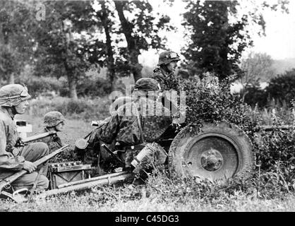 Eine deutsche 3,7 cm Panzerabwehrkanone in Russland Stockfoto