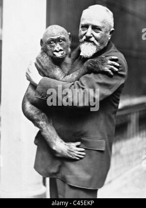 Ludwig Heck mit einem jungen Gorilla, 1931 Stockfoto