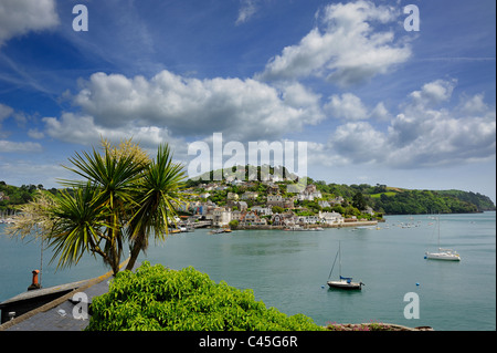 Blick auf Kingswear aus Dartmouth mit Dachterrasse Palme im Blick Devon England uk Stockfoto