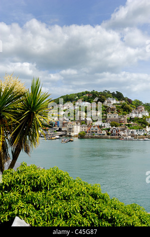 Blick auf Kingswear aus Dartmouth mit Dachterrasse Palme im Blick Devon England uk Stockfoto