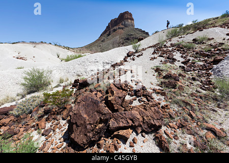 Frau Rucksackreisen in Wüste Big Bend Nationalpark Texas USA Stockfoto