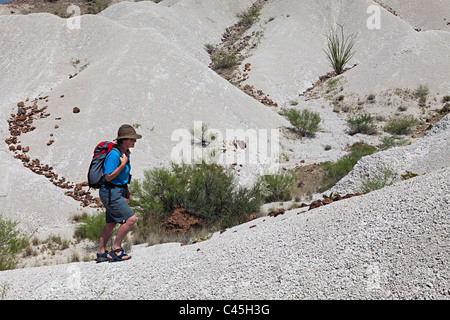 Frau Rucksackreisen in Wüste Big Bend Nationalpark Texas USA Stockfoto