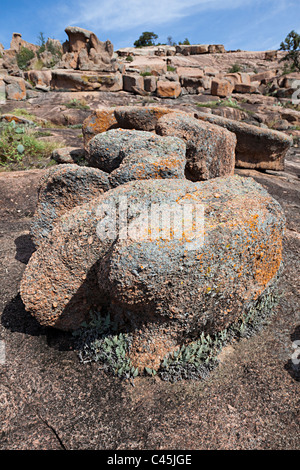 Flechten Sie auf Granitfelsen in Enchanted Rock State Natural Area Texas USA Stockfoto