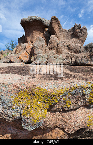 Flechten Sie auf Granitfelsen in Enchanted Rock State Natural Area Texas USA Stockfoto