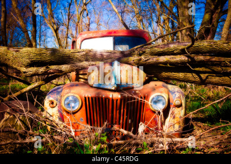 1940er Jahre alten Ford LKW abholen. Stockfoto