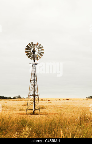 Windmühle auf Weiden in der Nähe von Esperance, Western Australia, Australien Stockfoto