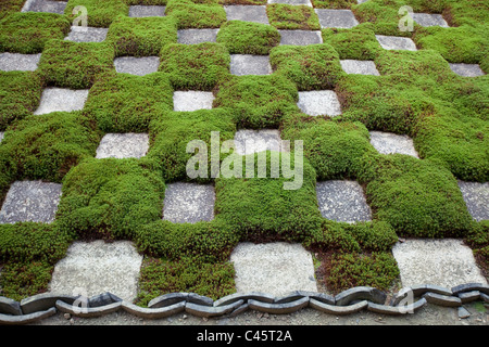 Am Tempel Tofuku-Ji, Garten mit Steinen und Moos, angeordnet in einem Schachbrettmuster, Kyoto, Japan. Stockfoto
