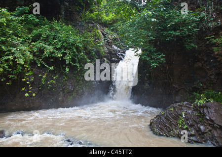 AIR TERJUN SINGSING oder TAGESANBRUCH Wasserfall liegt in der Nähe LOVINA im Norden - BALI, Indonesien Stockfoto