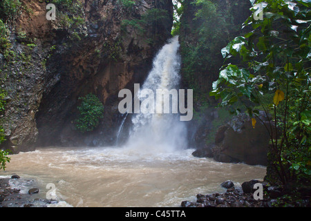 AIR TERJUN SINGSING oder TAGESANBRUCH Wasserfall liegt in der Nähe LOVINA im Norden - BALI, Indonesien Stockfoto