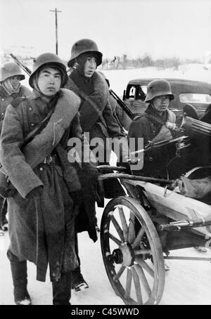 Russische Freiwillige an der Ostfront, 1943 Stockfoto