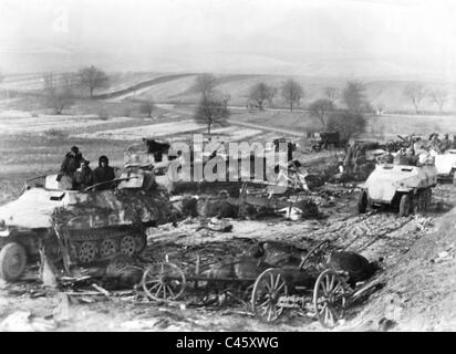 Gepanzerte Mannschaftswagen der Waffen-SS auf dem Vormarsch in Ungarn 1945 Stockfoto