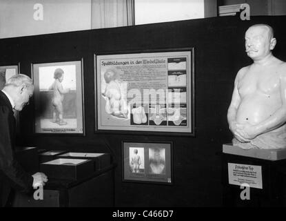 Nazi-Deutschland, Familie und Politik Rennen: Rennen Politik, 1933-1945 Stockfoto