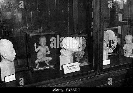 Nazi-Deutschland, Familie und Politik Rennen: Rennen Politik, 1933-1945 Stockfoto