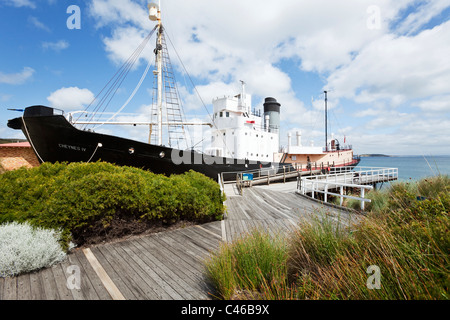 Cheynes IV Whalechaser Schiff am Wal Weltmuseum.  Franzose Bay, Albany, Western Australia, Australien Stockfoto