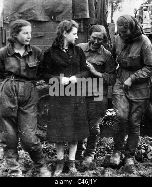 Weibliche Soldaten der Roten Armee, die als Gefangene an der Ostfront, nach 1941 (s/w Foto) Stockfoto