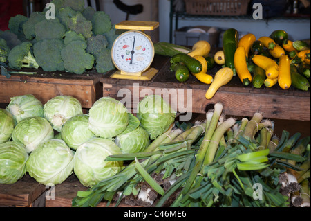 Gemüse für die CSA auf Erbsen-Farm in Missoula, Montana warten abgeholt werden. Stockfoto