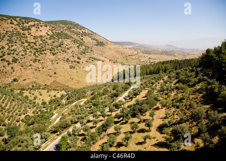 Luftaufnahme der Land-Seite des oberen Galiläa Stockfoto