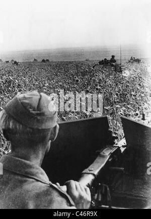 Zweiter Weltkrieg: Maykop vorne, Kaukasus, 1942 Stockfoto