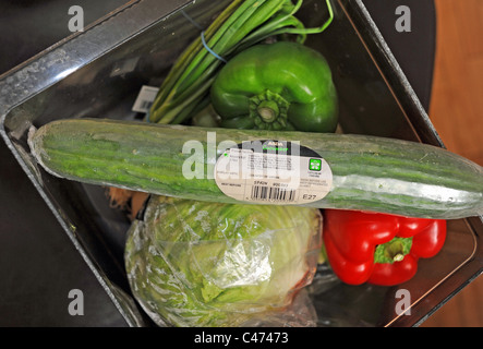 Eine Gurke aus Spanien von Asda Supermarkt-Kette in Großbritannien gekauft. Stockfoto