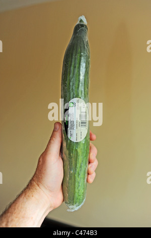 Eine Gurke aus Spanien von Asda Supermarkt-Kette in Großbritannien gekauft. Stockfoto