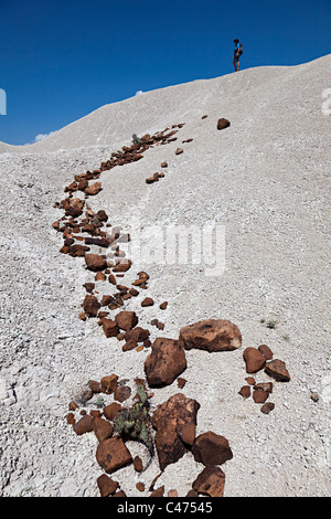 Frau Rucksackreisen in Wüste Big Bend Nationalpark Texas USA Stockfoto